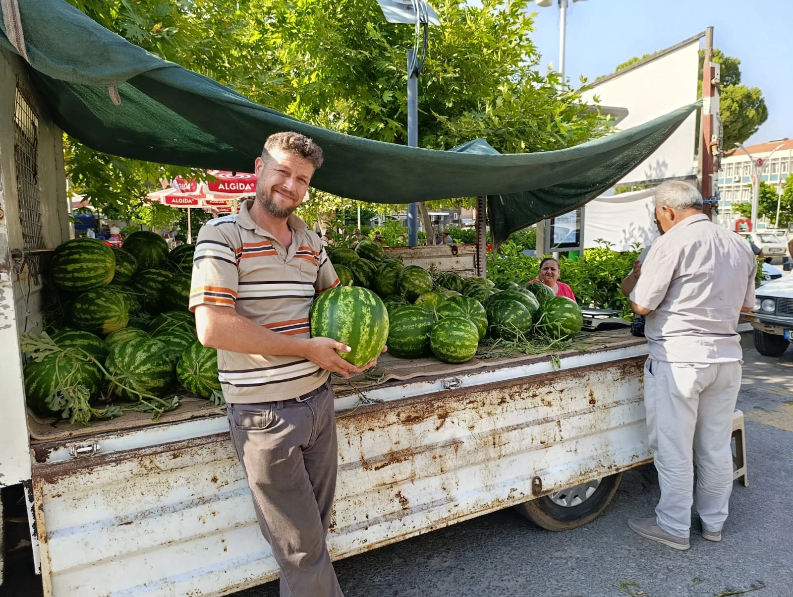 Meşhur Cincin Karpuzu Koçarlı’da tezgahlardaki yerini aldı